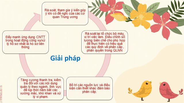 Hình ảnh